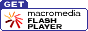 FLASH�_�E�����[�h